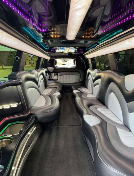 2018 Infiniti QX80 Limousine