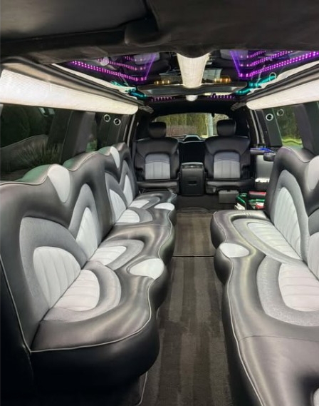2018 Infiniti QX80 Limousine