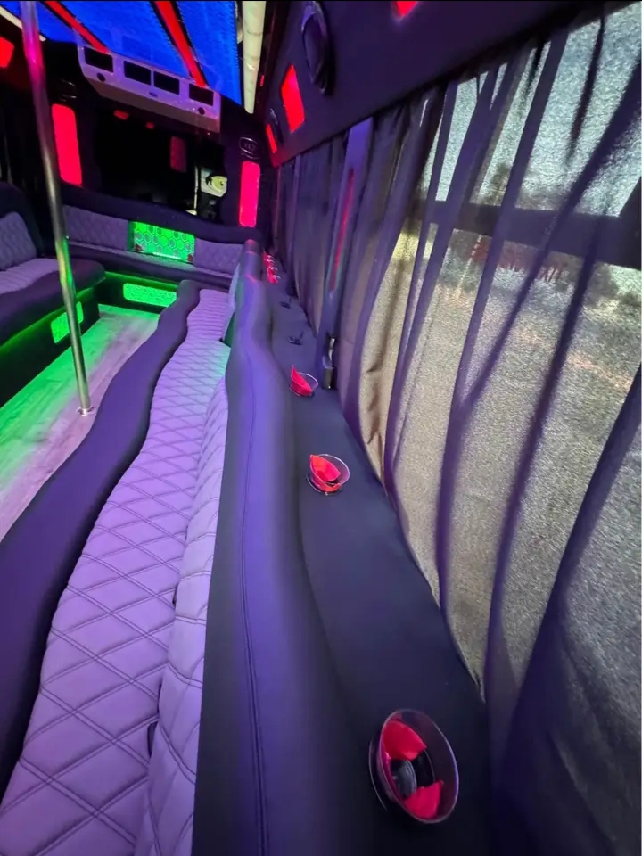 2017 Ford E-450 Party Bus