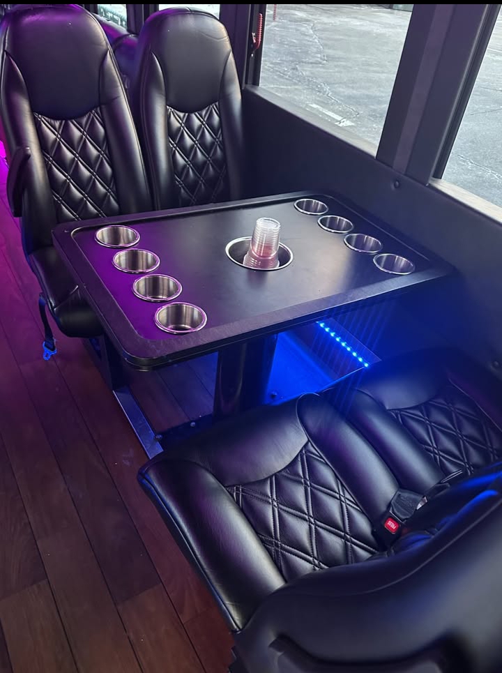 2015 Ford F-550 Limo Bus