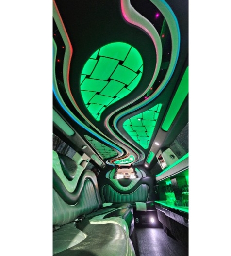 2015 Chrysler 300 Limousine