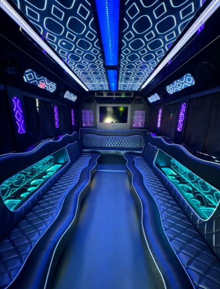 2015 Ford E-450 Limo Bus