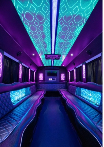 2015 Ford E-450 Limo Bus