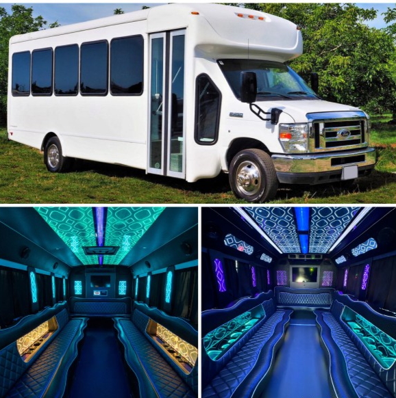 2015 Ford E-450 Limo Bus