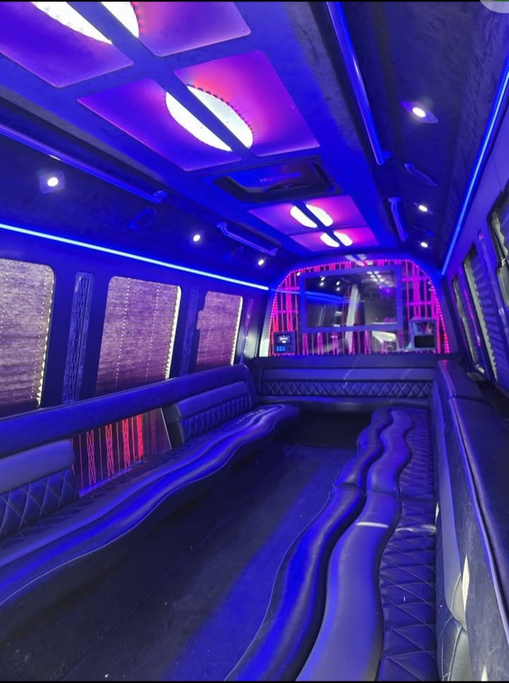 2017 Ford E-450 Limo Bus