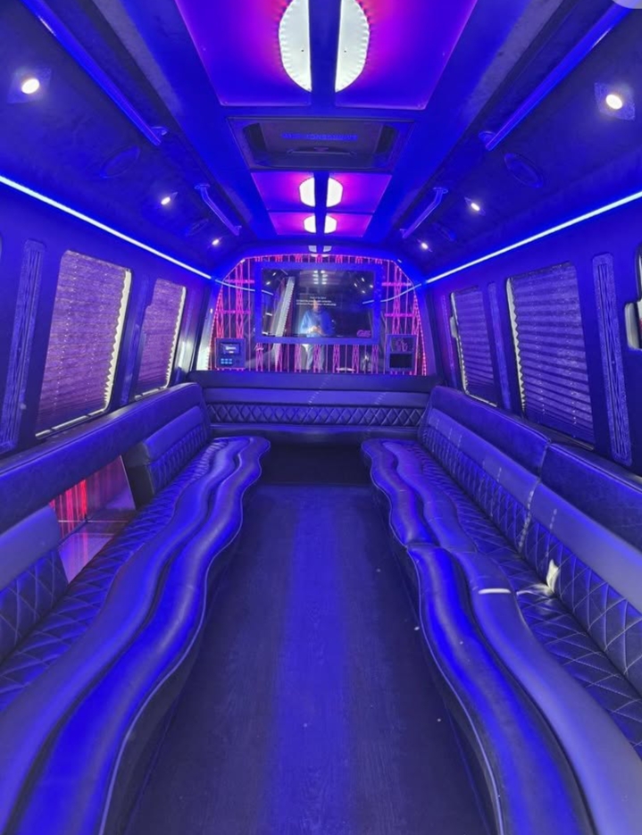 2017 Ford E-450 Limo Bus