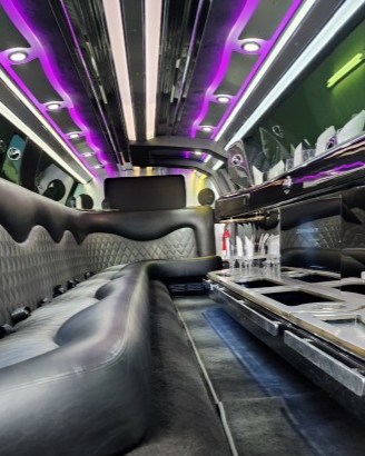 2014 Chrysler 300 Limousine