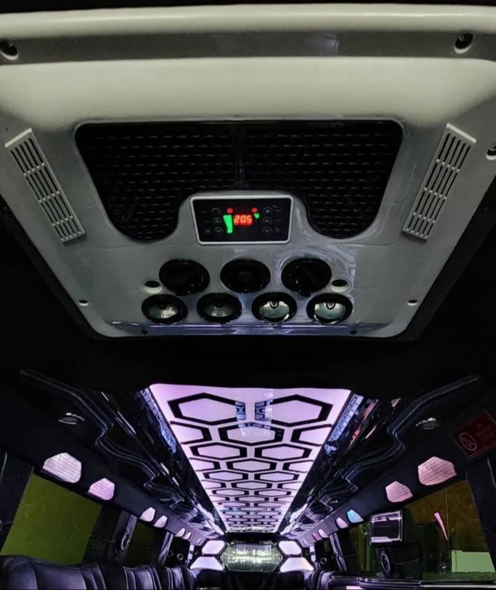 2011 Infiniti QX56 Limousine