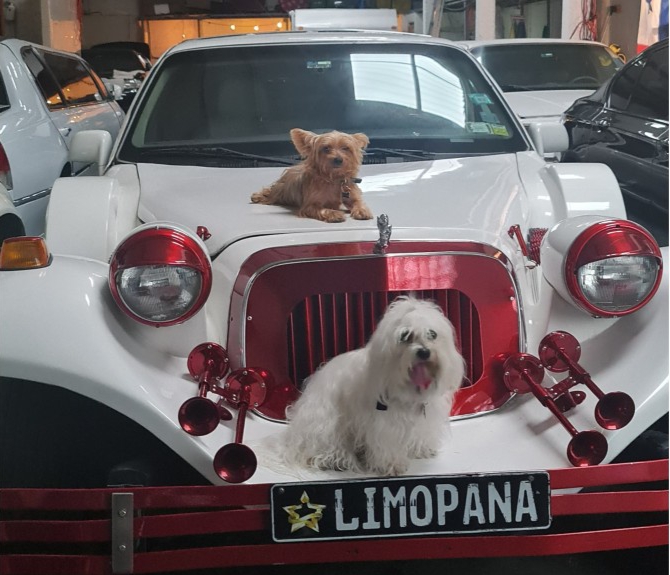 1996 Excalibur Fairlane Limousine