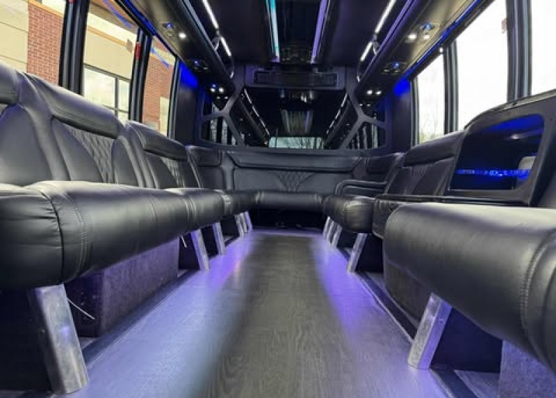 2016 Ford E-450 Limo Bus