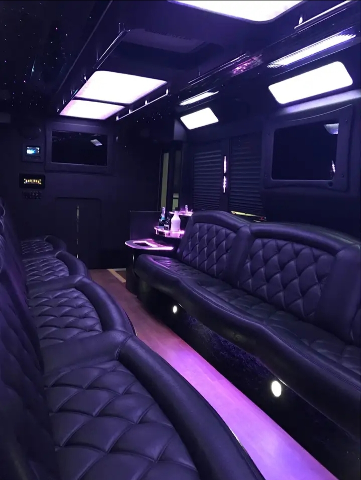 2012 Ford F-550 Limo Bus