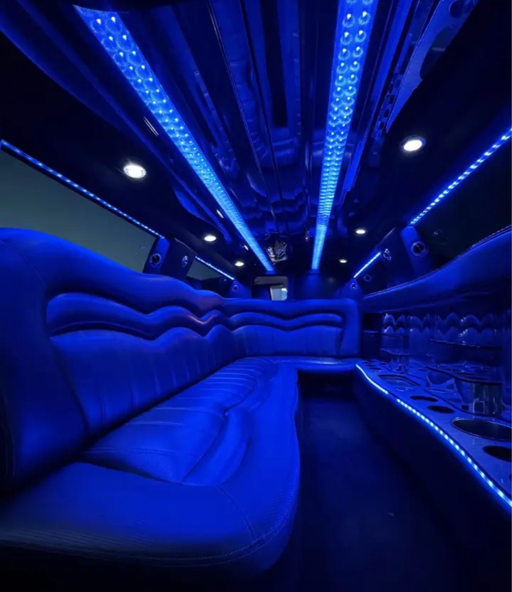 2015 Chrysler 300 Limousine