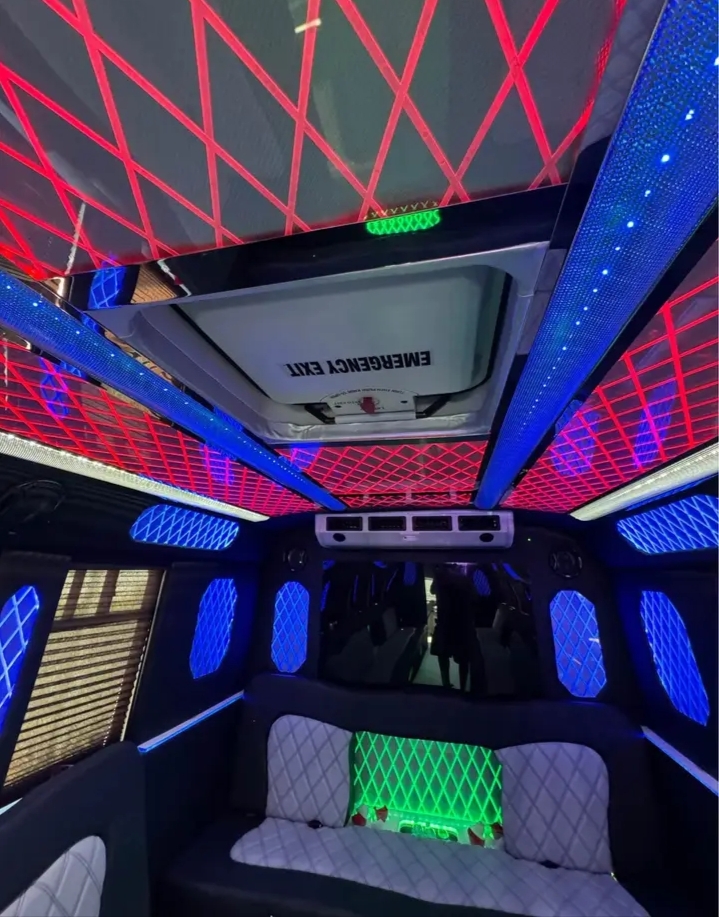 2012 Ford E-450 Party Bus