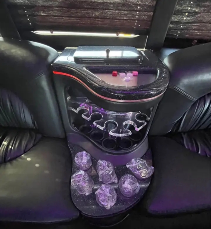 2011 Ford F-550 Limo Bus