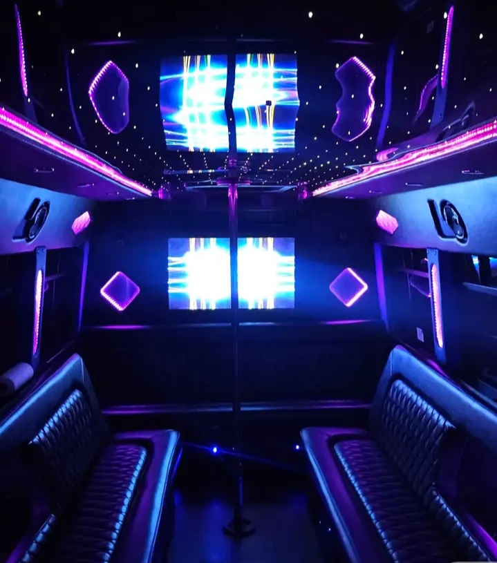 2010 Ford E-450 Party Bus