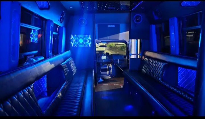 2010 Ford E-450 Party Bus