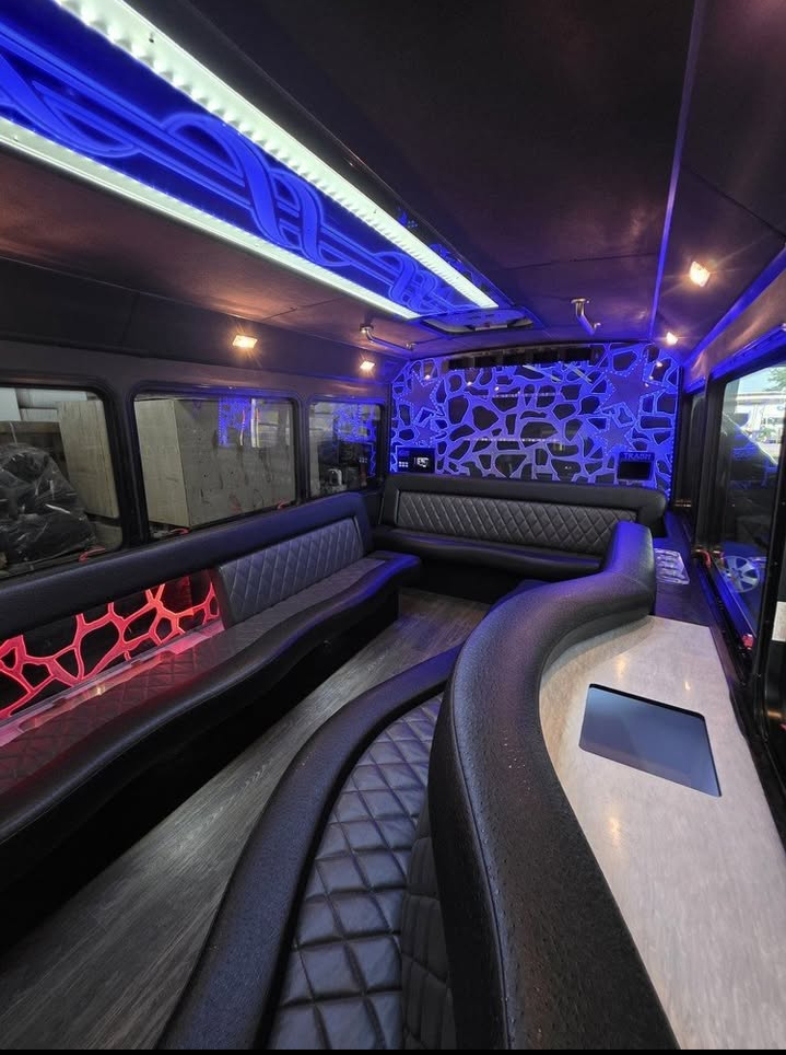 2014 Ford E-450 Limo Bus