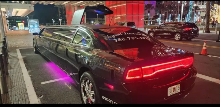 2014 Dodge Charger Limousine