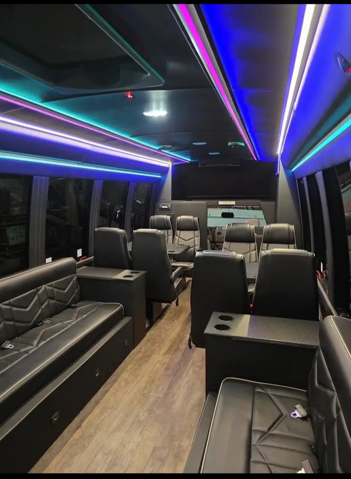 2018 Ford E-450 Limo Bus