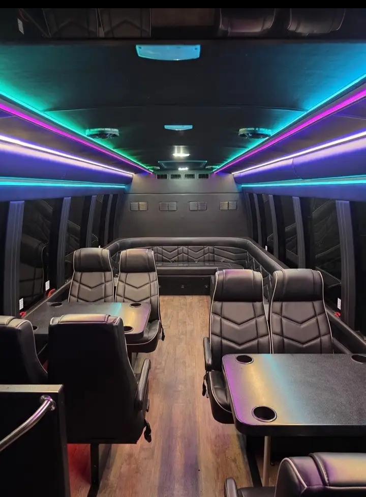 2018 Ford E-450 Limo Bus