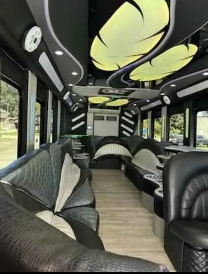 2015 Ford F-550 Limo Bus