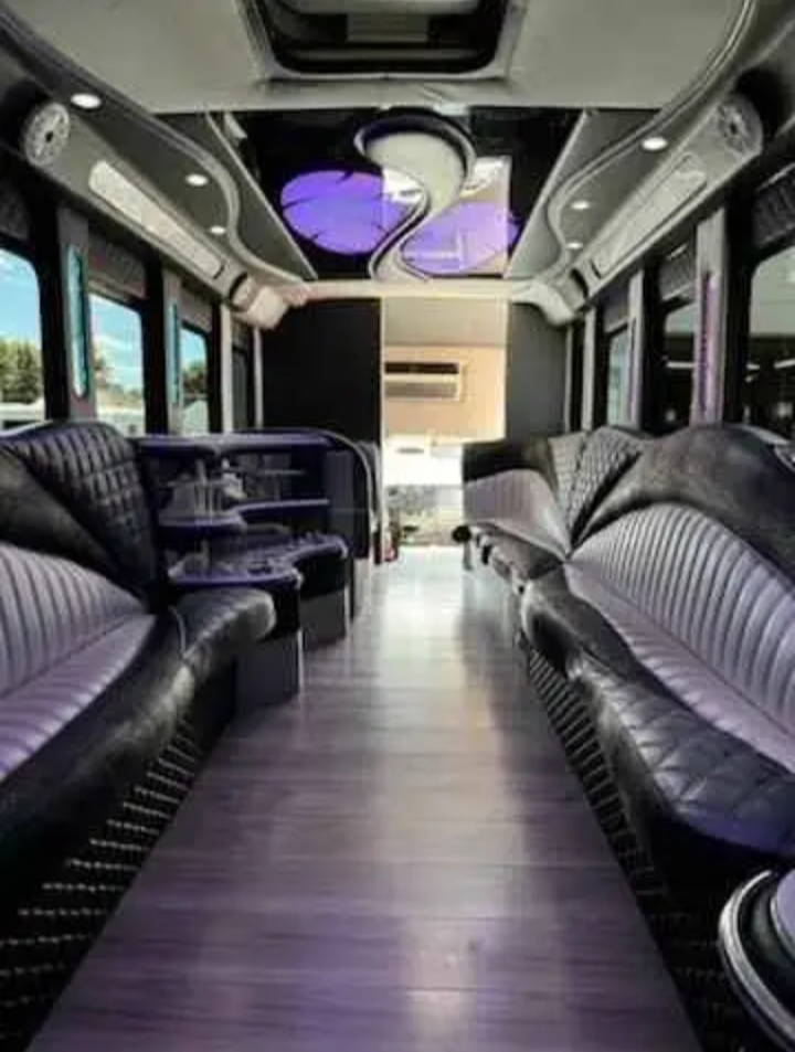 2015 Ford F-550 Limo Bus
