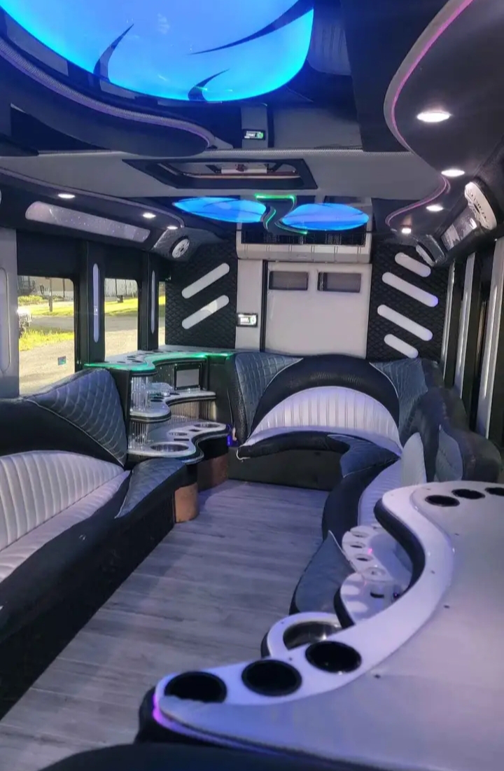 2015 Ford F-550 Limo Bus