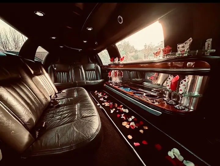 2010 Lincoln Town Car Limousine