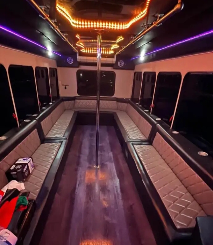 2010 Ford E-450 Limo Bus