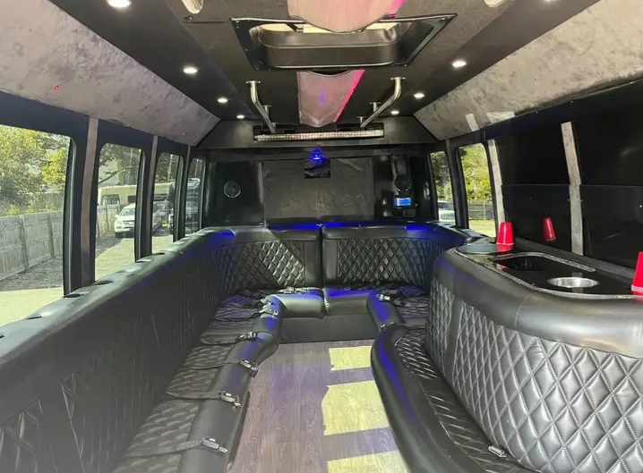 2014 Ford E-450 Limo Bus