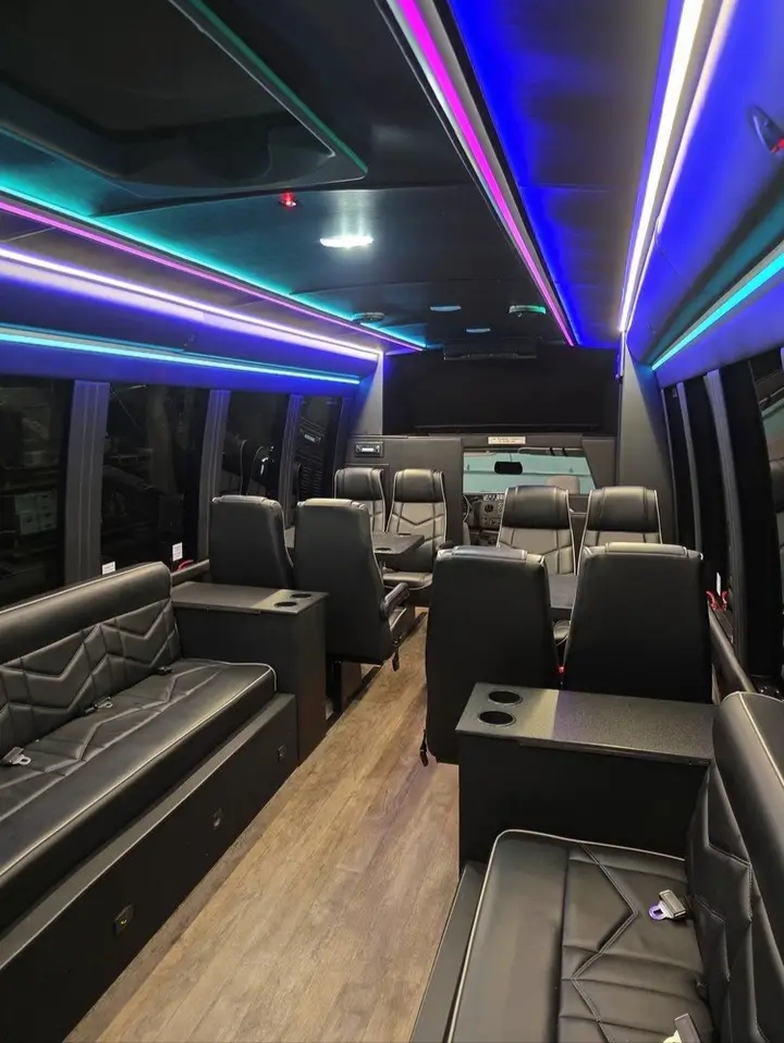 2018 Ford E-450 Limo Bus
