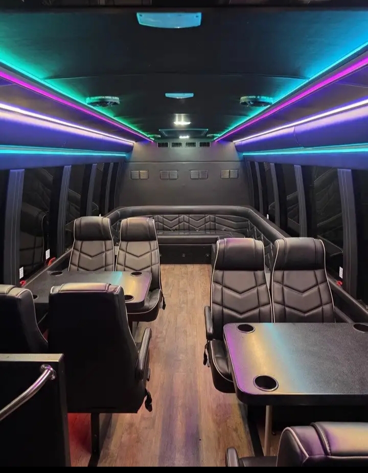 2018 Ford E-450 Limo Bus