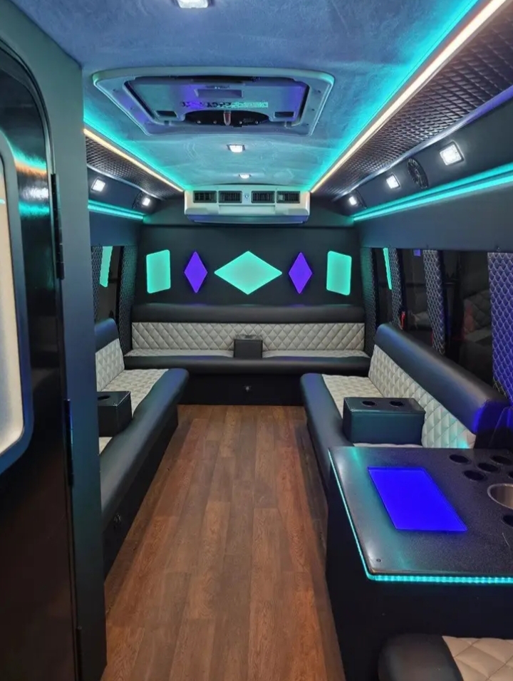 2012 Ford E-450 Limo Bus