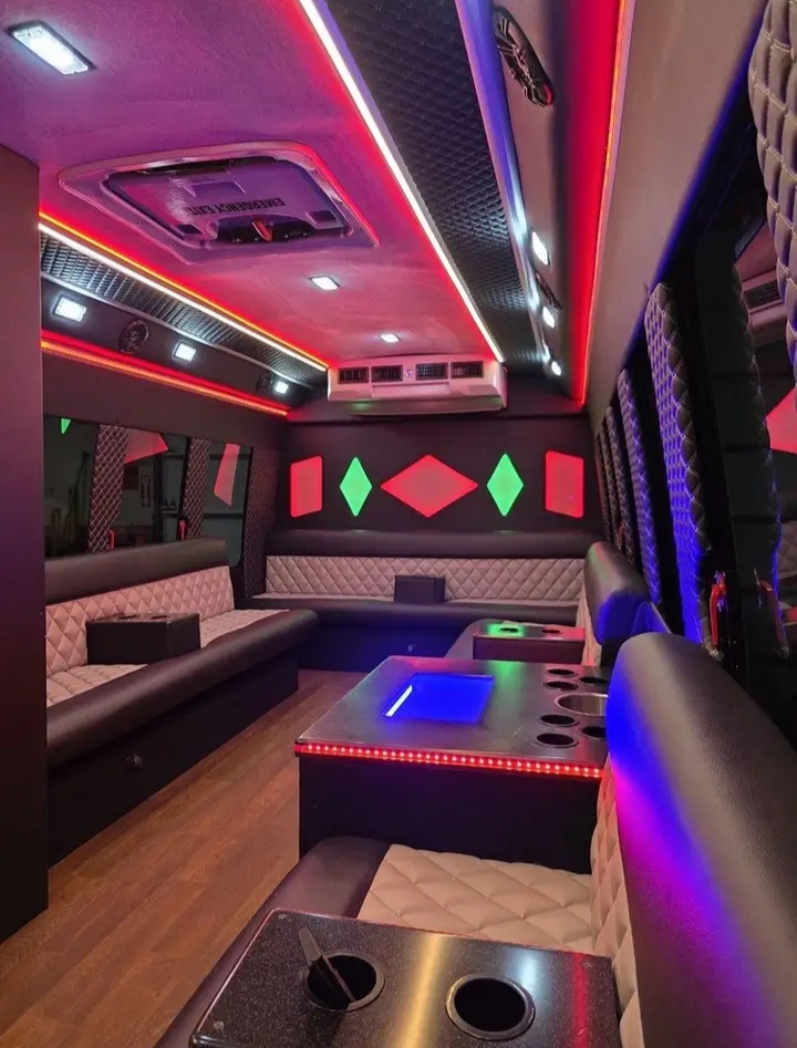 2012 Ford E-450 Limo Bus