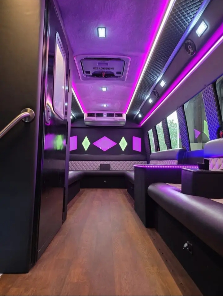 2012 Ford E-450 Limo Bus
