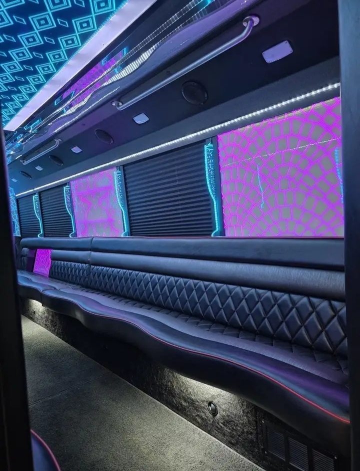 2015 Ford F-550 Limo Bus
