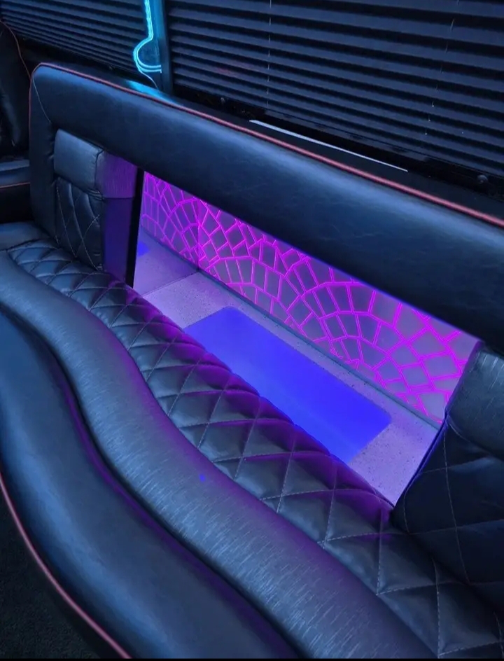 2015 Ford F-550 Limo Bus