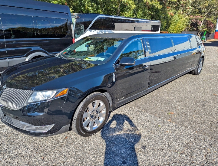 2014 Lincoln MKT Limousine
