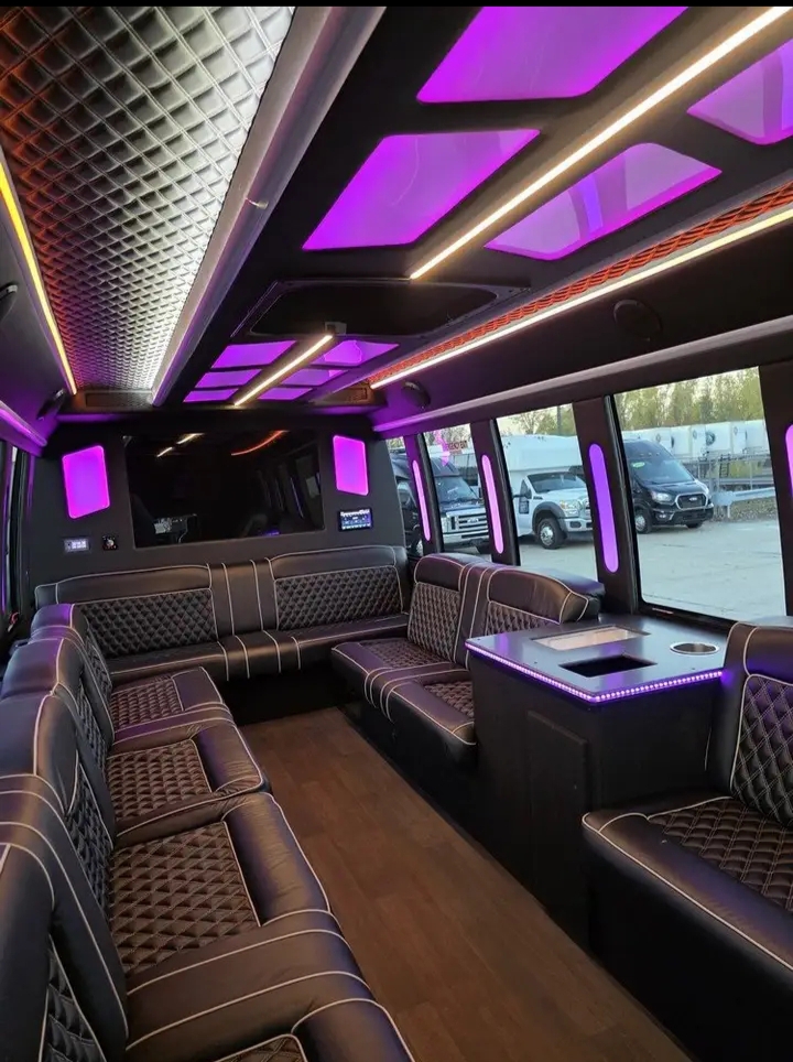 2014 Ford E-450 Limo Bus