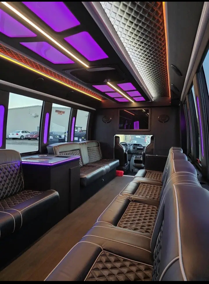 2014 Ford E-450 Limo Bus