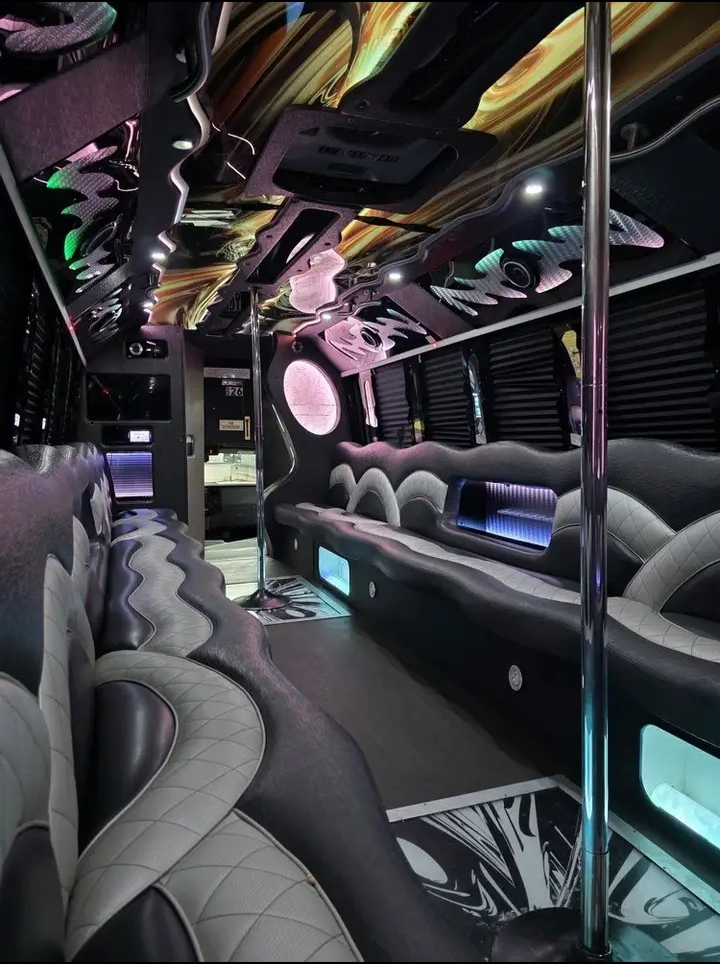 2015 Ford F-550 Limo Bus