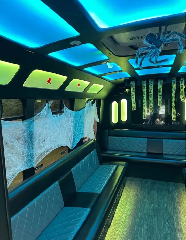 2012 Ford E-350 Limo Bus