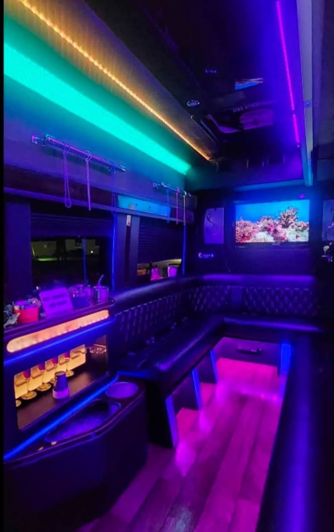 2017 Ford Transit Van Limo