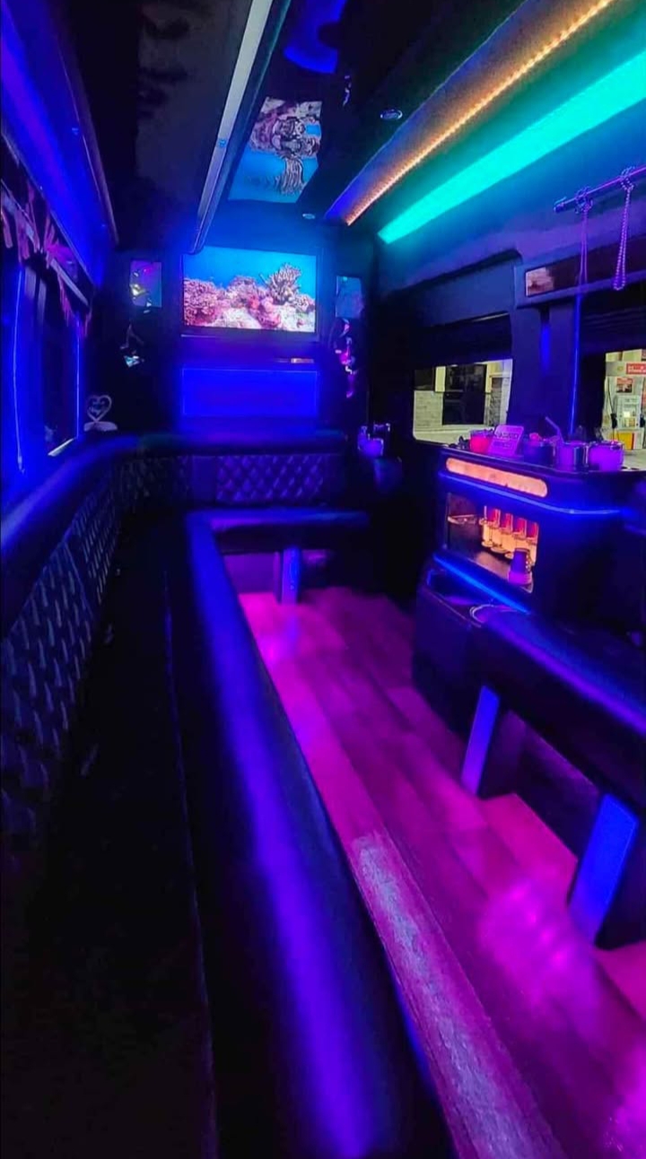 2017 Ford Transit Van Limo