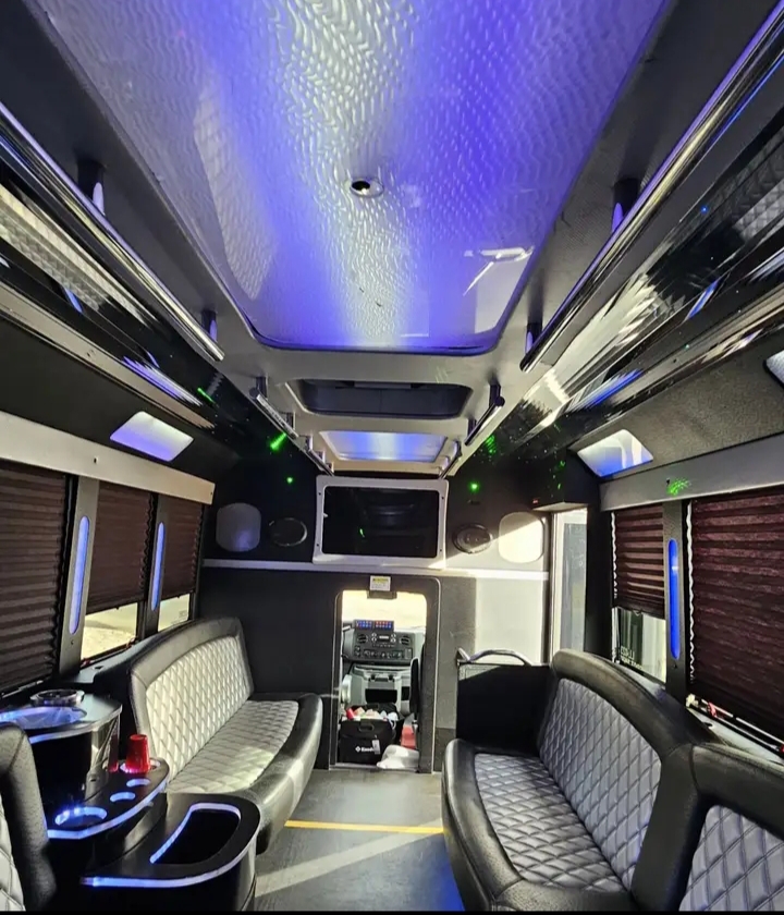 2016 Ford E-450 Limo Bus