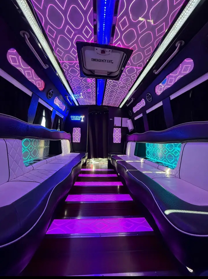 2012 Ford E-450 Party Bus