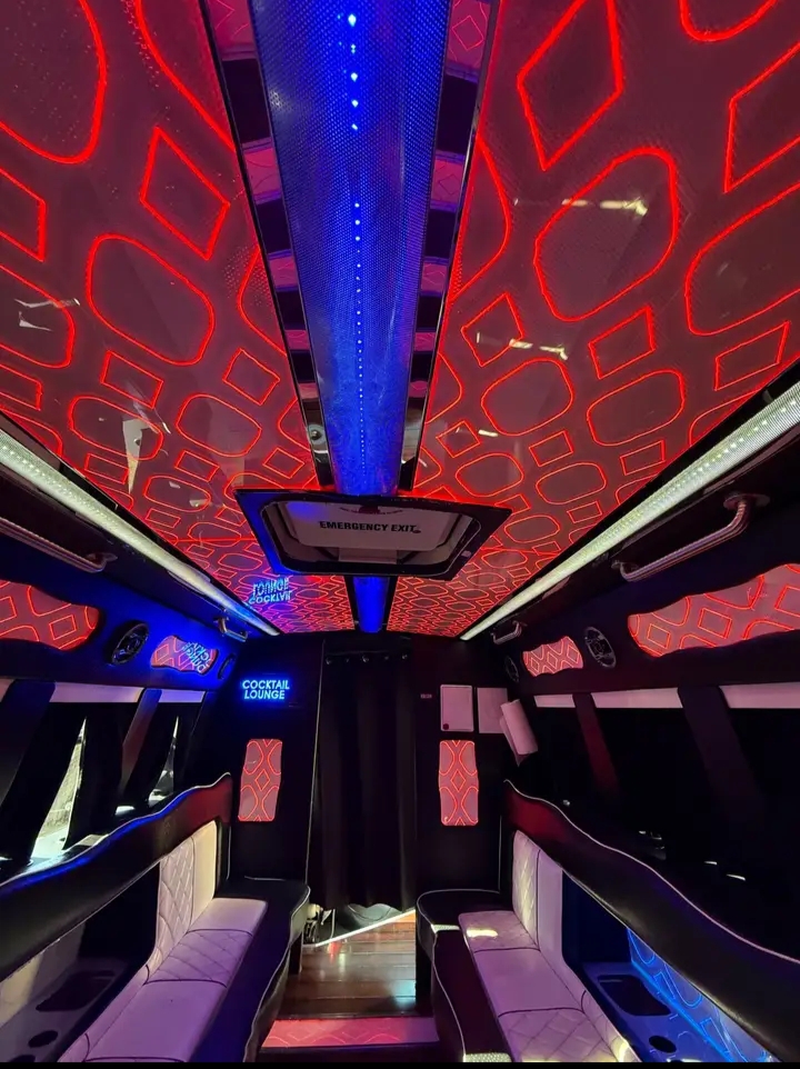 2012 Ford E-450 Party Bus