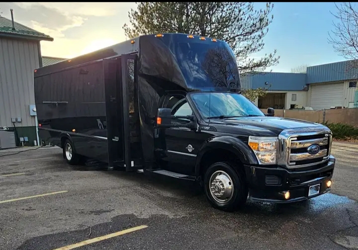 2015 Ford F-550 Limo Bus