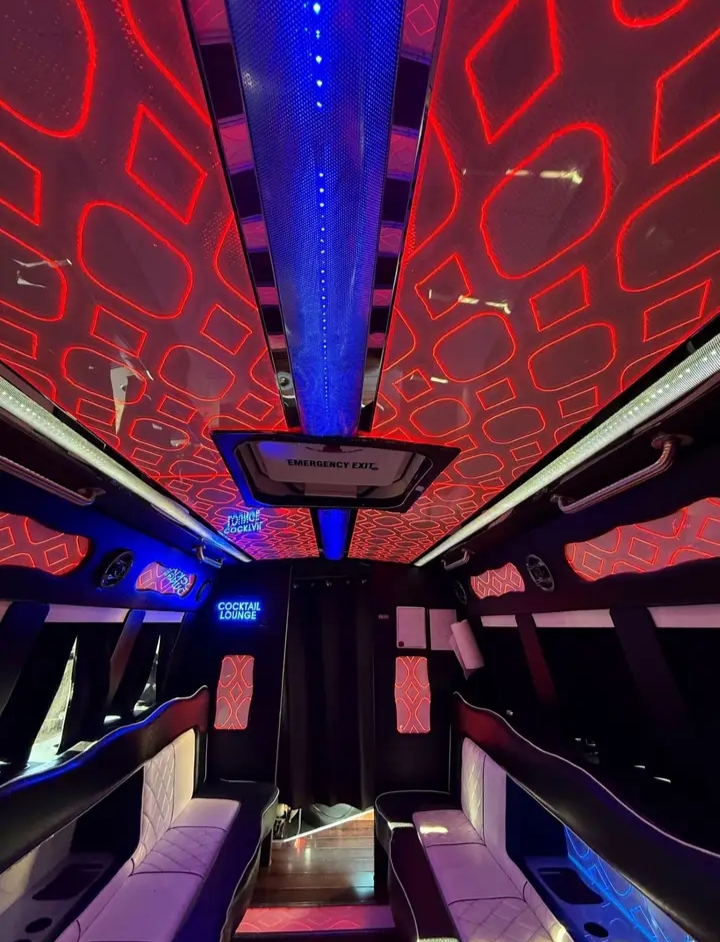 2012 Ford E-450 Limo Bus