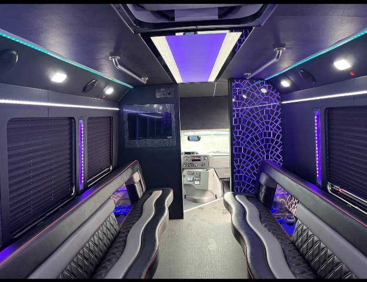 2018 Ford E-450 Limo Bus